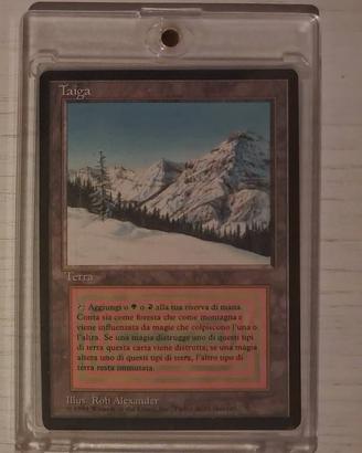 Carte MTG | Edizione FBB ITA 1994 | Taiga NM++