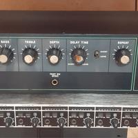 Raro Echoo/Delay Analagico Evans AE205 Japan