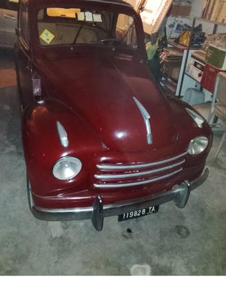 topolino