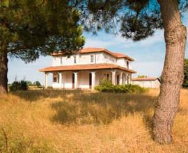 Tranquilla spaziosa villa, 3 piani, garage e terra