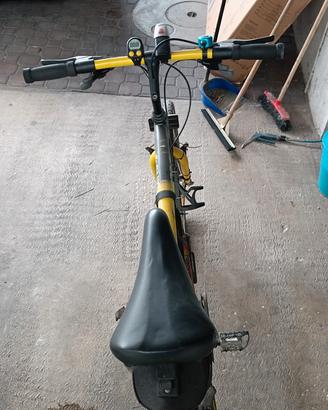 bicicletta MTB