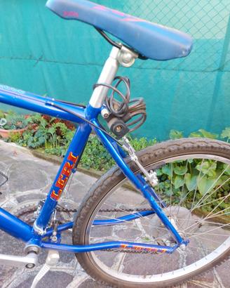 bicicletta MTB cerchio 26