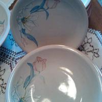 Servizio piatti 19 pz. dipinti a mano. Vintage '50