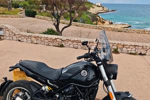 Benelli leoncino trial