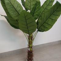 Pianta albero banano sterlizia artificiale