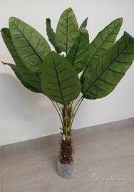 Pianta albero banano sterlizia artificiale