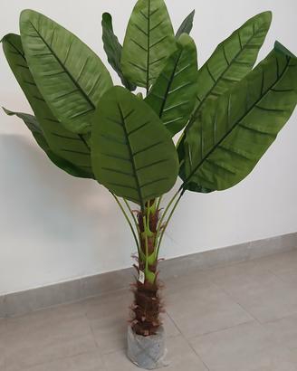 Pianta albero banano sterlizia artificiale
