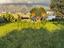 Immagine 25