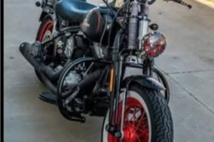 Vendita Harley Davidson cross bones 1600