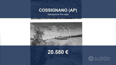 Immobile in asta di 29610 m² a Cossignano