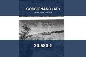 Immobile in asta di 29610 m² a Cossignano