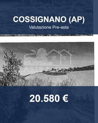 Immobile in asta di 29610 m² a Cossignano