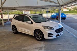 Ford Kuga 1.5 EcoBlue 120cv ST-Line X