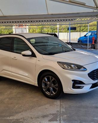 Ford Kuga 1.5 EcoBlue 120cv ST-Line X