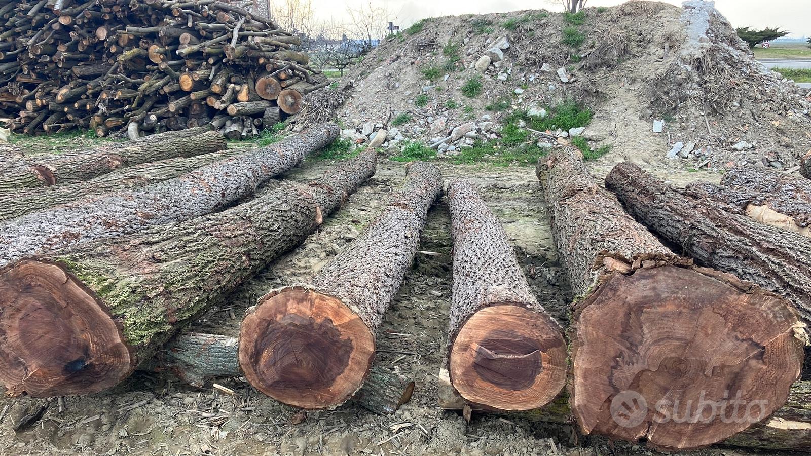 Tronchi di rovere e noce - Giardino e Fai da te In vendita a Torino