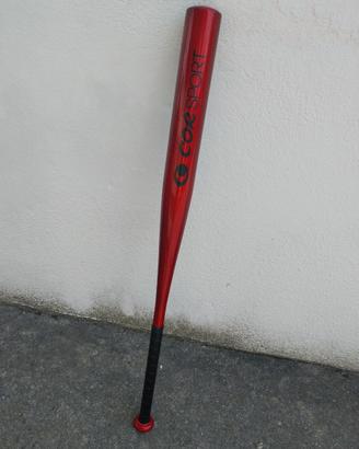 per gli appassionati del baseball