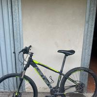 Bici mountain bike carraro