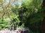 Immagine 12