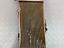 Immagine 8