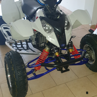 Quad polaris predator 500
