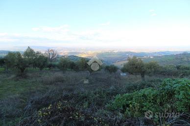 TER. RESIDENZIALE A CASTELLALTO