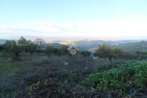 TER. RESIDENZIALE A CASTELLALTO