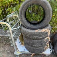 Gomme polaris