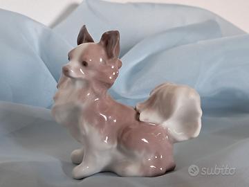 Papillon Dog LLADRÓ Spagna