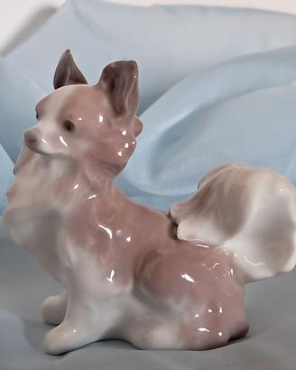 Papillon Dog LLADRÓ Spagna