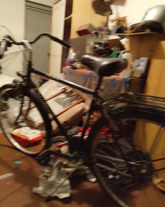 Bicicletta uomo portale