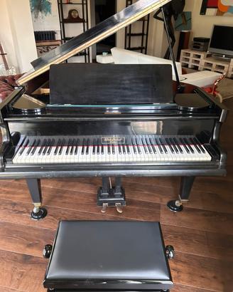 Pianoforte a coda
