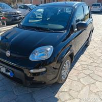 Panda 1.0 firefly Hybrid S&S