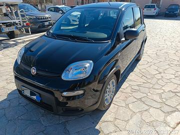 Panda 1.0 firefly Hybrid S&S