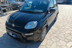 Panda 1.0 firefly Hybrid S&S