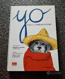 Yo, lei e l'ambasciatore 