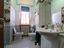 Immagine 11