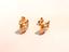 Immagine 5