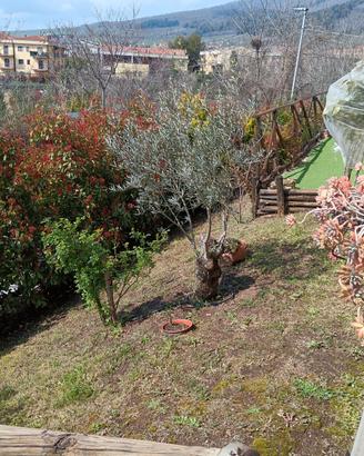 Appartamento e garage