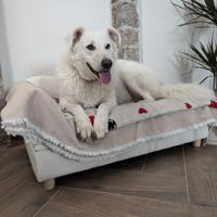 Divanetto per cani