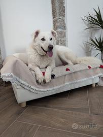 Divanetto per cani