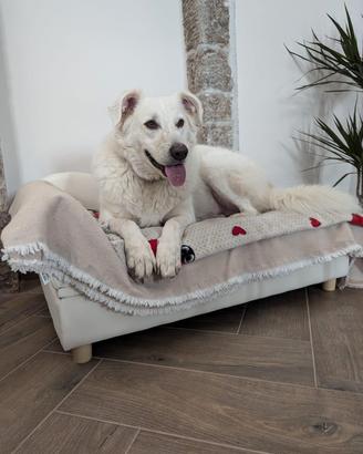 Divanetto per cani