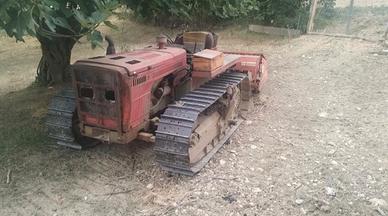 CARRARO 655 CON APRIPISTA 