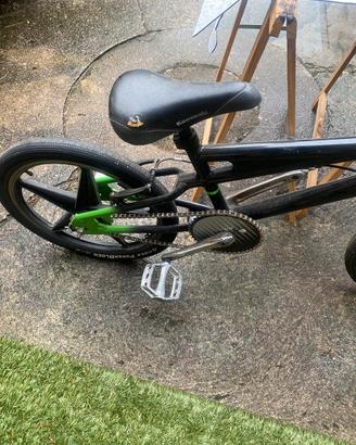 Bici KAWASAKI