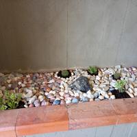 Aiuole giardino siepi ulivi bosco campi manutenzio