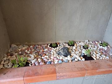 Aiuole giardino siepi ulivi bosco campi manutenzio