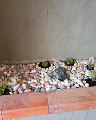 Aiuole giardino siepi ulivi bosco campi manutenzio