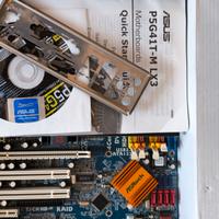 scheda madre pc Asus  p5 g41t-M lx3 