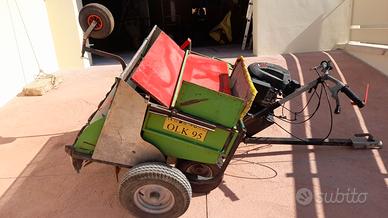 raccoglitrice  olive nocciole mandorle ganciotrain