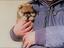 Immagine 1