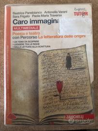 Caro Immaginar - Poesia e Teatro